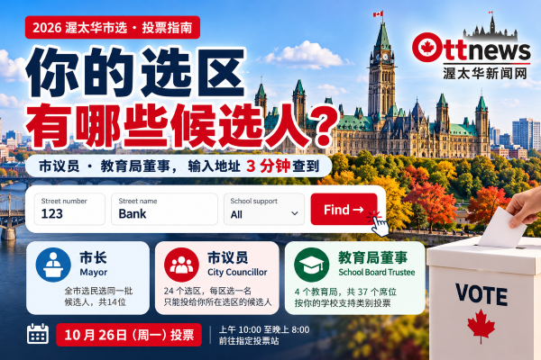 市选怎么查本区市议员和教育局董事候选人?3分钟查询指南